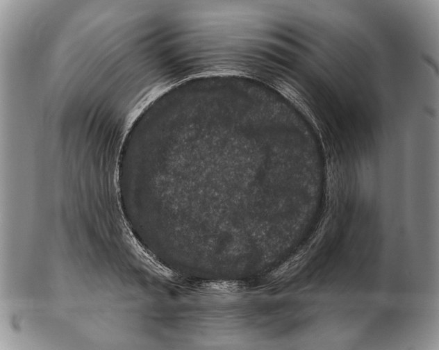 X0000102790797200809151124