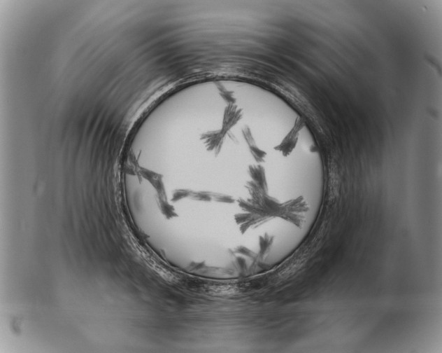 X0000102790798200809151124