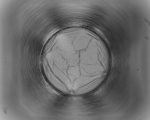 X0000102790802200809151124