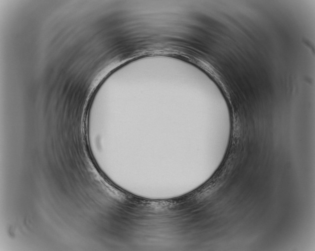 X0000102790803200809151124