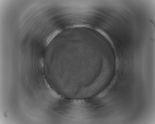 X0000102790809200809151124