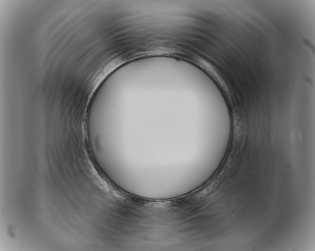 X0000102790810200809151124