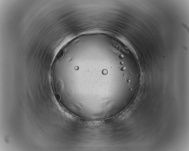 X0000102790813200809151124