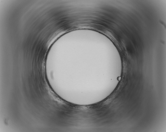 X0000102790814200809151124