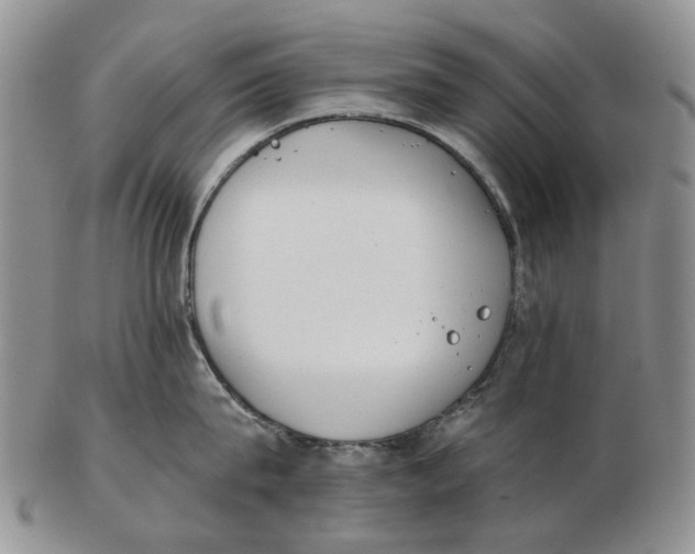 X0000102790815200809151124