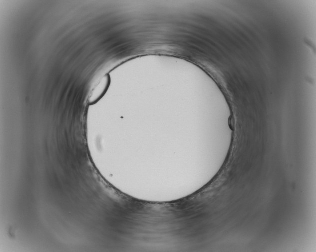 X0000102790816200809151124