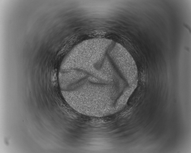 X0000102790818200809151123