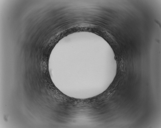 X0000102790821200809151123