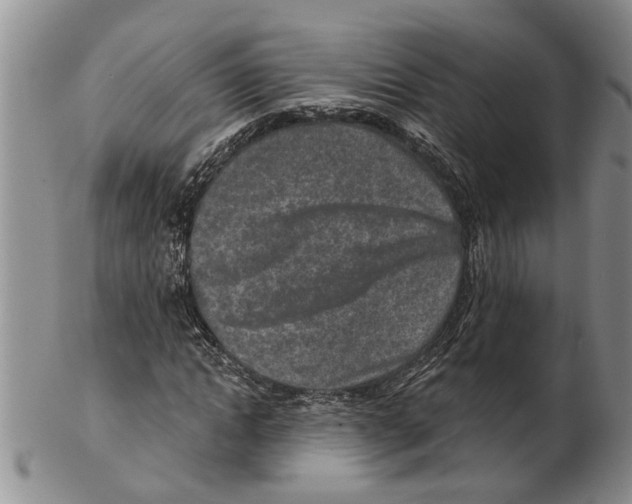 X0000102790822200809151123