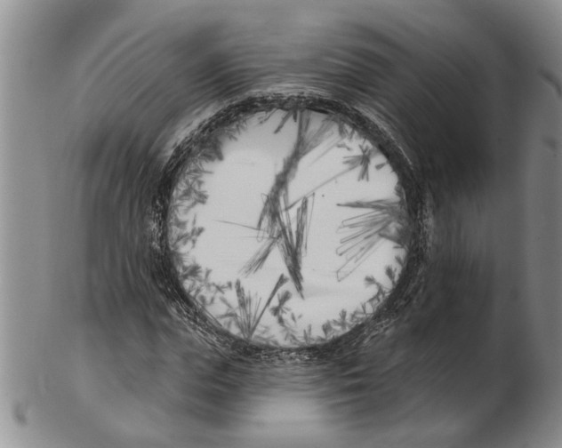 X0000102790823200809151123