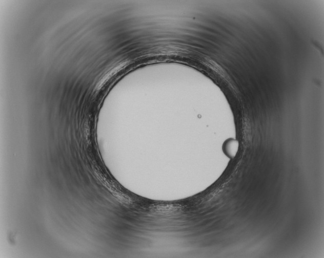 X0000102790826200809151123