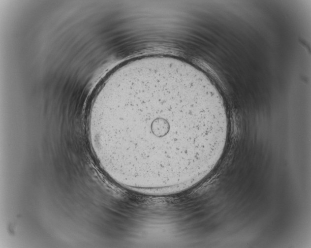 X0000102790828200809151123