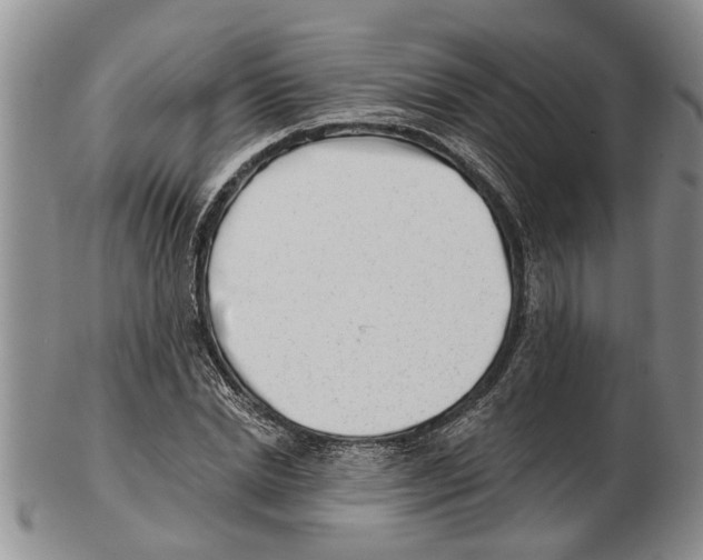 X0000102790830200809151123