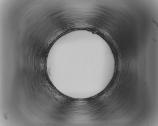 X0000102790833200809151123