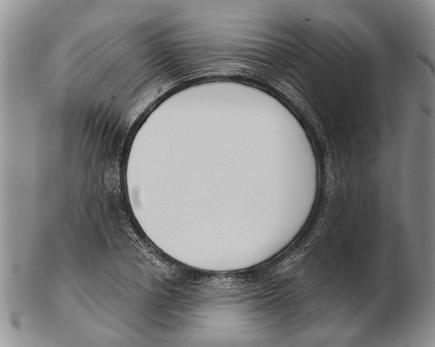 X0000102790834200809151123