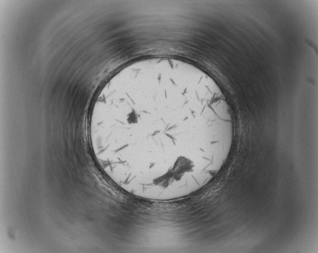 X0000102790840200809151123