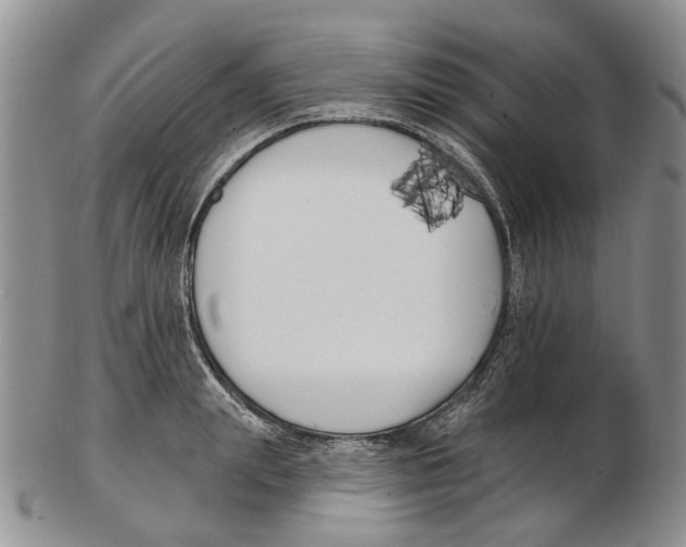 X0000102790847200809151123