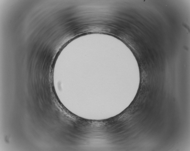 X0000102790848200809151123