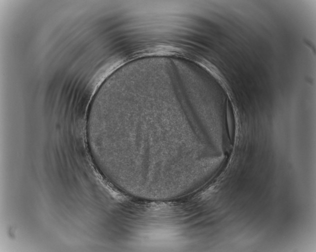 X0000102790850200809151123