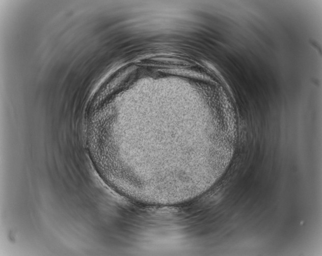 X0000102790851200809151123