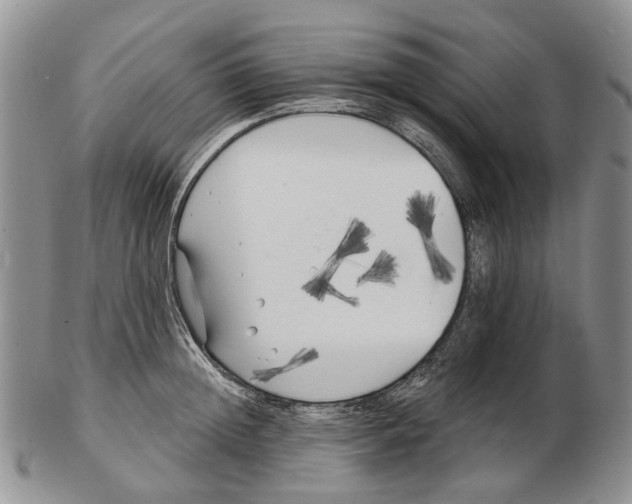 X0000102790852200809151123