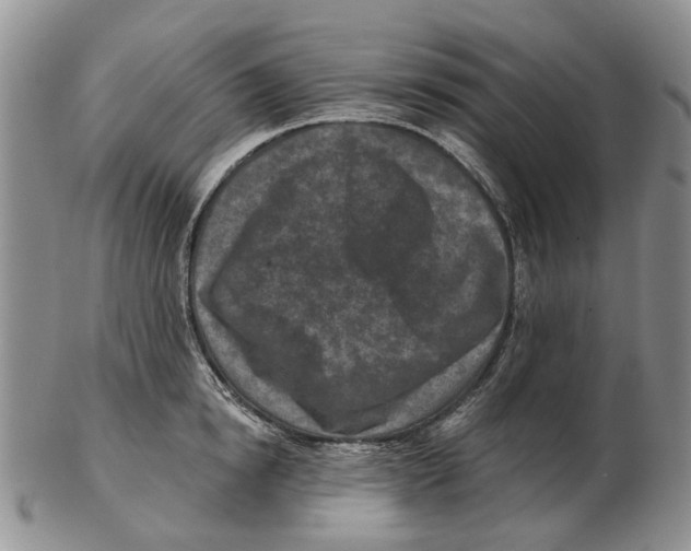 X0000102790854200809151123