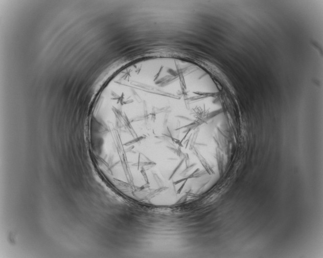 X0000102790855200809151123