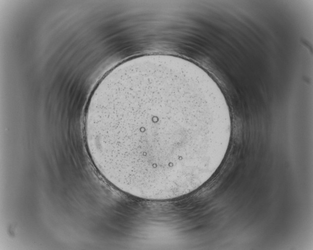 X0000102790856200809151123