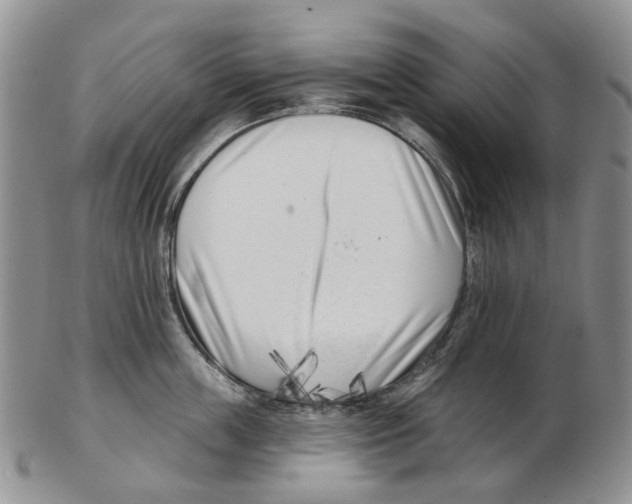 X0000102790859200809151123