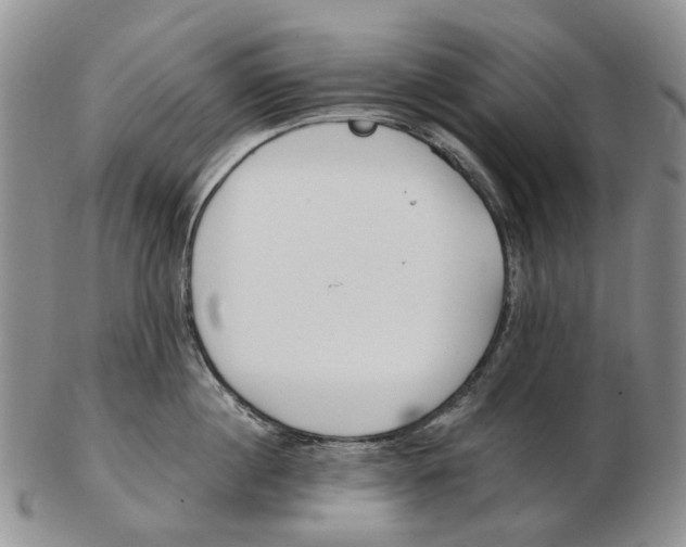 X0000102790860200809151123