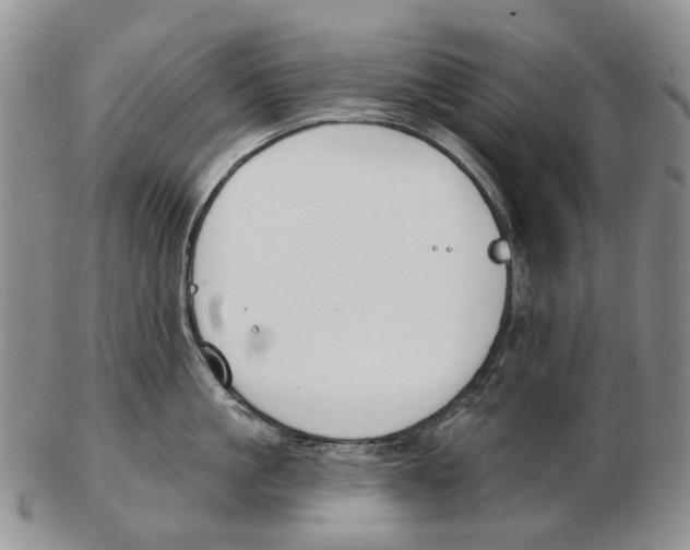 X0000102790861200809151123