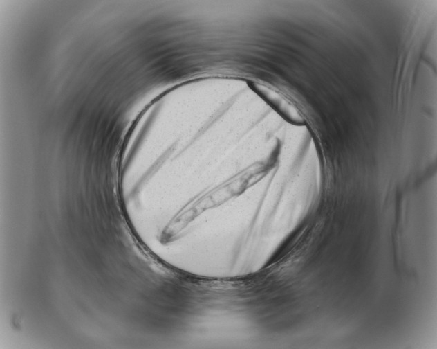 X0000102790862200809151123