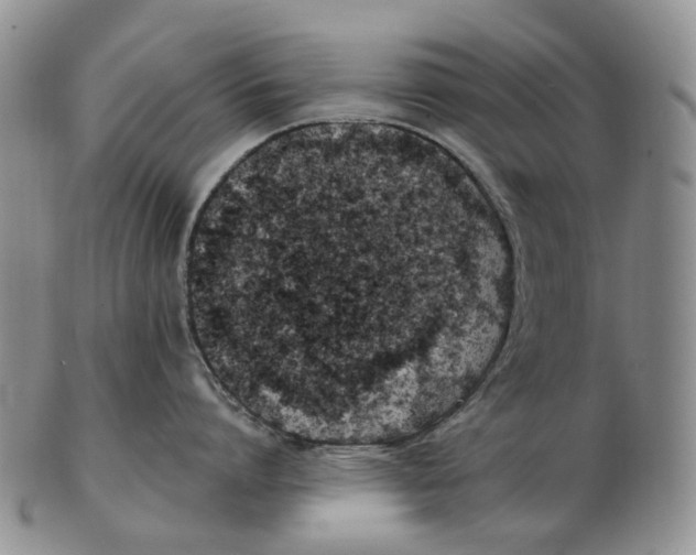 X0000102790864200809151123