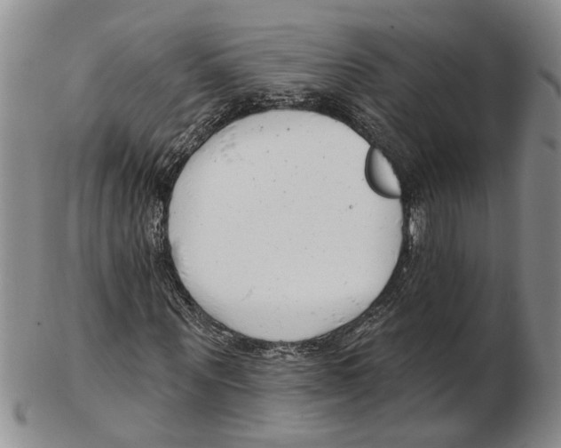 X0000102790867200809151123