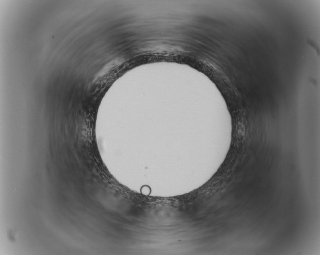 X0000102790869200809151123