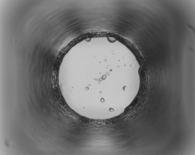 X0000102790871200809151123