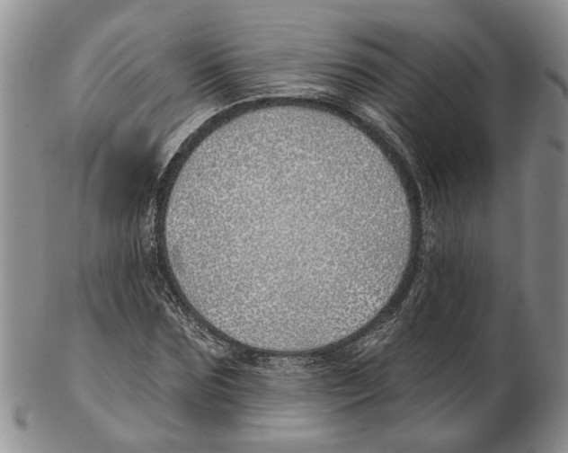 X0000102790875200809151123