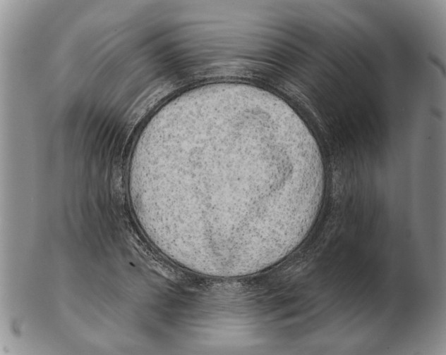 X0000102790882200809151123