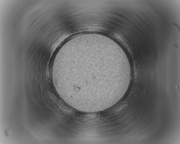 X0000102790883200809151123