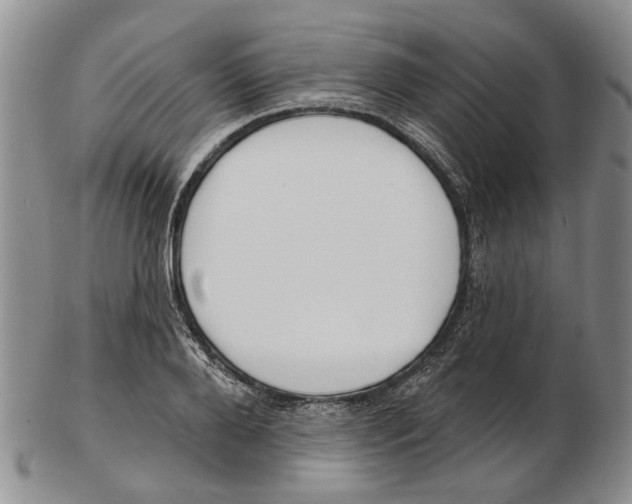 X0000102790888200809151123