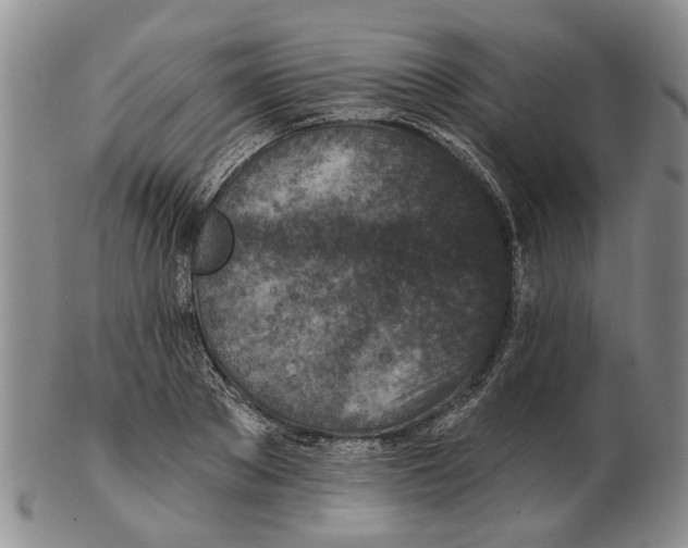 X0000102790889200809151123