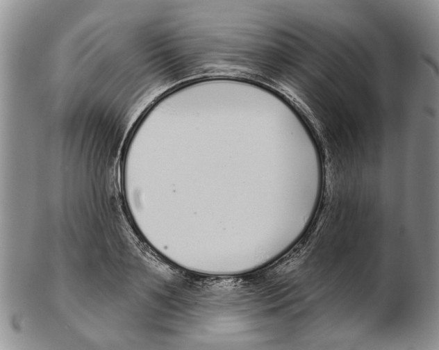 X0000102790891200809151122