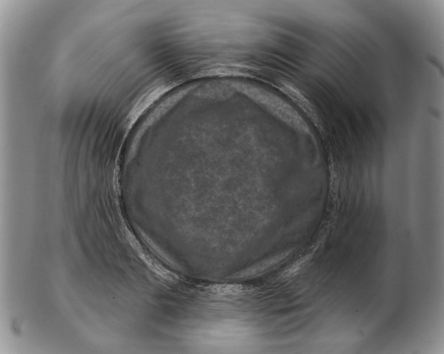 X0000102790893200809151122