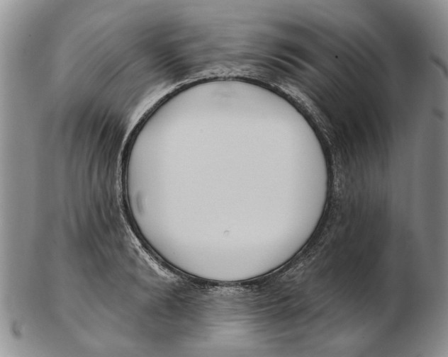 X0000102790894200809151122