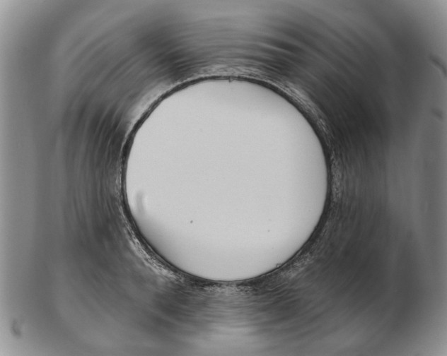 X0000102790896200809151122