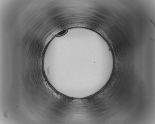 X0000102790898200809151122