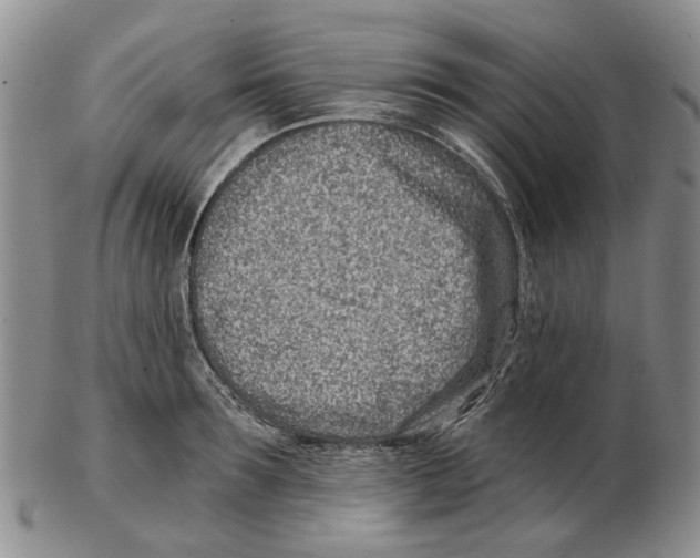 X0000102790899200809151122