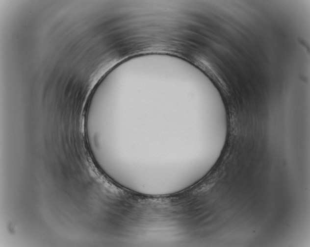 X0000102790900200809151122