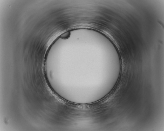 X0000102790901200809151122