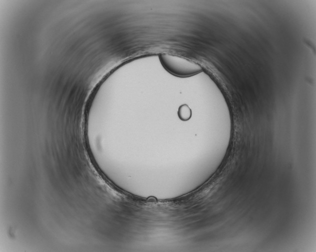 X0000102790902200809151122